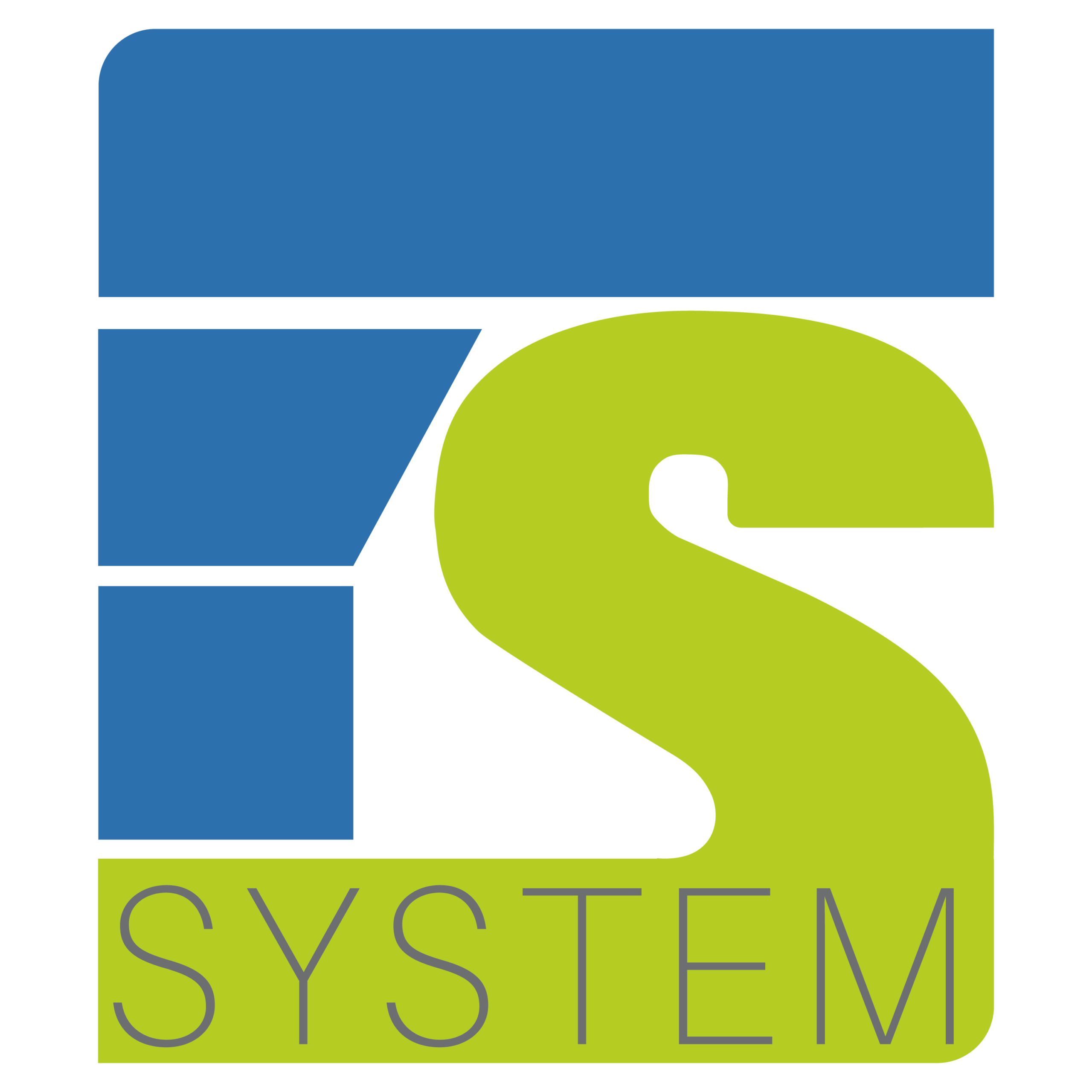 FSSYSTEM STORE
